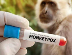 Status Kedaruratan Monkeypox Akhirnya Dicabut WHO