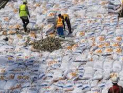 Hadapi El Nino, RI Buka Kemungkinan RI Tambah Impor Beras
