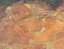 Ancaman Deforestasi Di Kalimantan Efek Pembangunan IKN