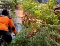 Pemadaman Kebakaran 38 Hektare Lahan Gunung Arjuno Welirang Alami Kesulitan