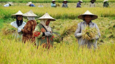 Kemendagri: Pertanian Sumbang Rp2 Ribu Triliun untuk Perekonomian Nasional