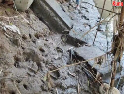 Usai Banjir Bandang, Reruntuhan Candi Kerajaan Majapahit Muncul di Tepi Sungai