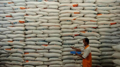 Komitmen China Sediakan 1 Juta Ton Beras Impor untuk Indonesia di Tengah Krisis Pangan Global