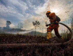 Kebakaran Hutan dan Lahan di Kalsel Meluas: 163 Hektare Terbakar!