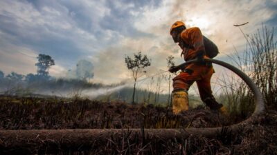 Kebakaran Hutan dan Lahan di Kalsel Meluas: 163 Hektare Terbakar!