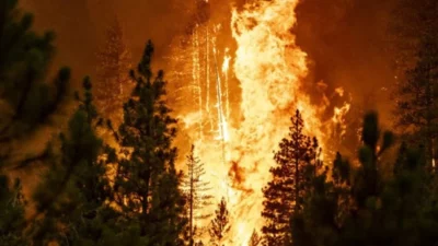 Kebakaran Hutan Melanda Yunani saat Suhu Mencekam di Atas 40 Derajat Celcius