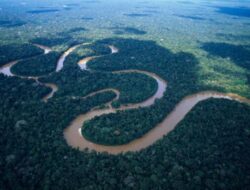 Lonjakan Emisi Karbon di Hutan Amazon Seiring Pemerintahan Bolsonaro