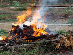 Bahayanya Jika Sering Bakar Sampah Bisa Sebabkan ISPA hingga Kanker