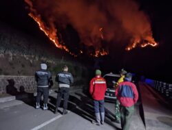 Kebakaran Kembali Ancam Gunung Bromo, Sebagian Kawasan Wisata Ditutup Sementara