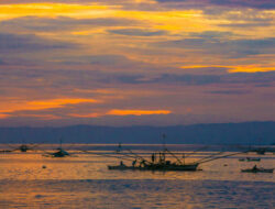Filipina Minta Bukti Penggunaan Sianida oleh Nelayan Cina di Scarborough Shoal