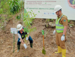 Hijaukan Lingkungan, Brantas Abipraya Bakal Tanam 5.500 Bibit Pohon di PLTM Padang Guci