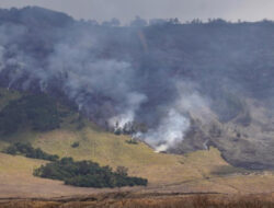 Imbas Kebakaran Hutan, Wisata Gunung Bromo Ditutup Total