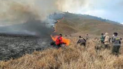 Kebakaran di Gunung Bromo Belum Padam