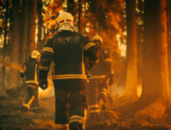 Tragedi Kebakaran Hutan di Queensland, Australia: Dua Tewas dan Puluhan Rumah Hancur
