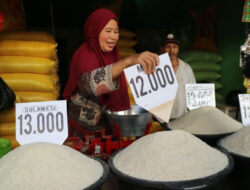 Harga Beras di Lampung Terus Melambung Tinggi