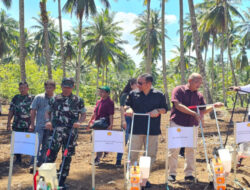 Kementan Genjot Produksi Jagung Manfaatkan Kebun Kelapa