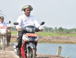 Mentan Amran Dongkrak Produksi di Kalsel Dengan Optimasi Lahan Rawa