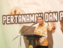 Kementan Optimasi Lahan Rawa dan Lahan Non Irigasi, Tingkatkan Produksi Padi dan Jagung