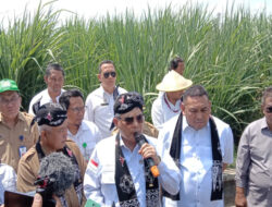 Wamentan Ungkap Langkah Kongkrit Genjot Produksi untuk Swasembada Gula Nasional