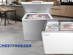 Ini Dia Chest Freezer yang Cocok Untuk Bisnis Makanan Beku