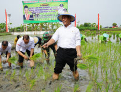 HIMA IPB: Kami Dukung Kementan Optimalkan Lahan Rawa Jadi Lahan Produktif