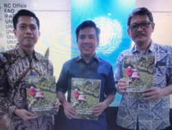 FAO: Covid-19, Ketahanan Pangan Indonesia Tetap Aman