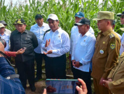 Mentan-Wamenhan Kunjungi Gunung Mas, Pastikan Food Estate Berjalan Baik