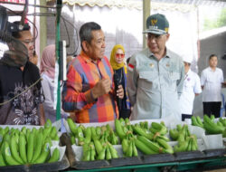 Wamentan Dorong Pisang Blitar Tembus Pasar Ekspor Lewat Korporasi Petani