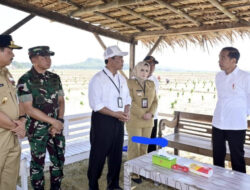 Mentan Semobil dengan Presiden, Pupuk Subsidi Dipermudah dan Ditambah