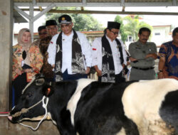 Wamentan Harap Pasuruan Tingkatkan Populasi Sapi Perah lewat KUD