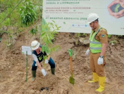 Lewat Anak Usahanya, Brantas Abipraya Tanam 5.500 Bibit Pohon di Padang Guci