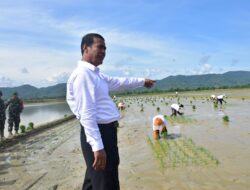 Petani Tak Perlu Panik, Pupuk untuk Musim Tanam I Cukup