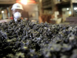 Harga Nikel Anjlok 40 Persen