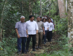 Lindungi Konservasi Satwa di Kalimantan, Menteri ATR/Kepala BPN Serahkan Sertipikat kepada Borneo Orangutan Survival Foundation