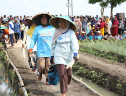 Petani Respon Pengamat Terkait Pupuk Subsidi: Tambahan Anggaran Pupuk Sentuh Akar Masalah Kami