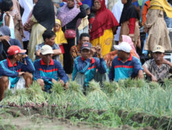 Pakar Dukung Pemerintah Permudah Regulasi Pupuk Subsidi