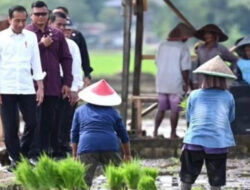 Panitia Pastikan Tak Ada Kericuhan Kunker Presiden Jokowi di Banyumas