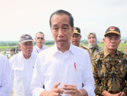 Jokowi dan Vo Van Thuong Sepakat Kuatkan Kerja Sama Strategis RI-Vietnam