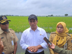 Kunjungi Korban Banjir Demak, Mentan Berikan Bantuan Benih 10.000 ha dan 30 Milliar Sarana Pertanian