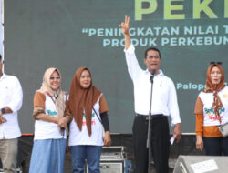 Kunjungan ke Palopo, Mentan Amran Pastikan Permudah Urusan Petani Dalam Berproduksi