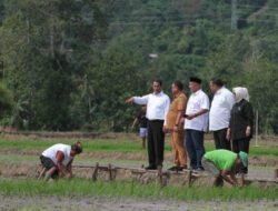 Amankan Produksi Melimpah, Kementan dan Bapanas Ajak Stakeholder Sambut Panen Raya 2024