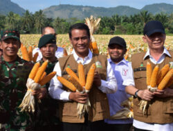 Kolaborasi Kementan-TNI Percepat Swasembada, Mentan Amran Panen dan Tanam Jagung di Aceh