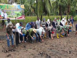 Kementan Lakukan Pencanangan Penanaman Padi Gogo Tumpang Sari Kelapa di Wajo