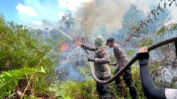 Lahan Gambut 15 Hektar di Bengkalis Terbakar