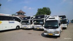 DAMRI Siapkan 225 Bus untuk Layani Angkutan Haji 2024