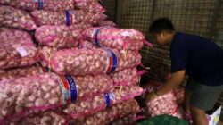 KSP Bakal Panggil Importir Bawang Putih karena Rendahnya Realisasi Impor