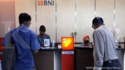 Bank Negara Indonesia (BBNI) Danai Akuisisi PLTB Sidrap Oleh Barito Group
