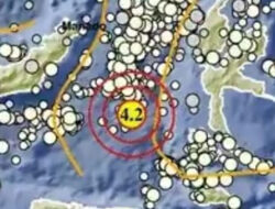 BMKG: Barat Daya Ternate di Maluku Utara Diguncang Gempa M4,2