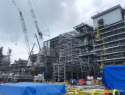 Freeport Indonesia Diminta Bangun Smelter di Timika, Ini Alasannya