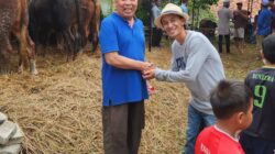 Masbibie Farm Sediakan Hewan Kurban, Berdayakan Peternak Lokal